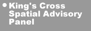 King's Cross Spatial Advisory Panel